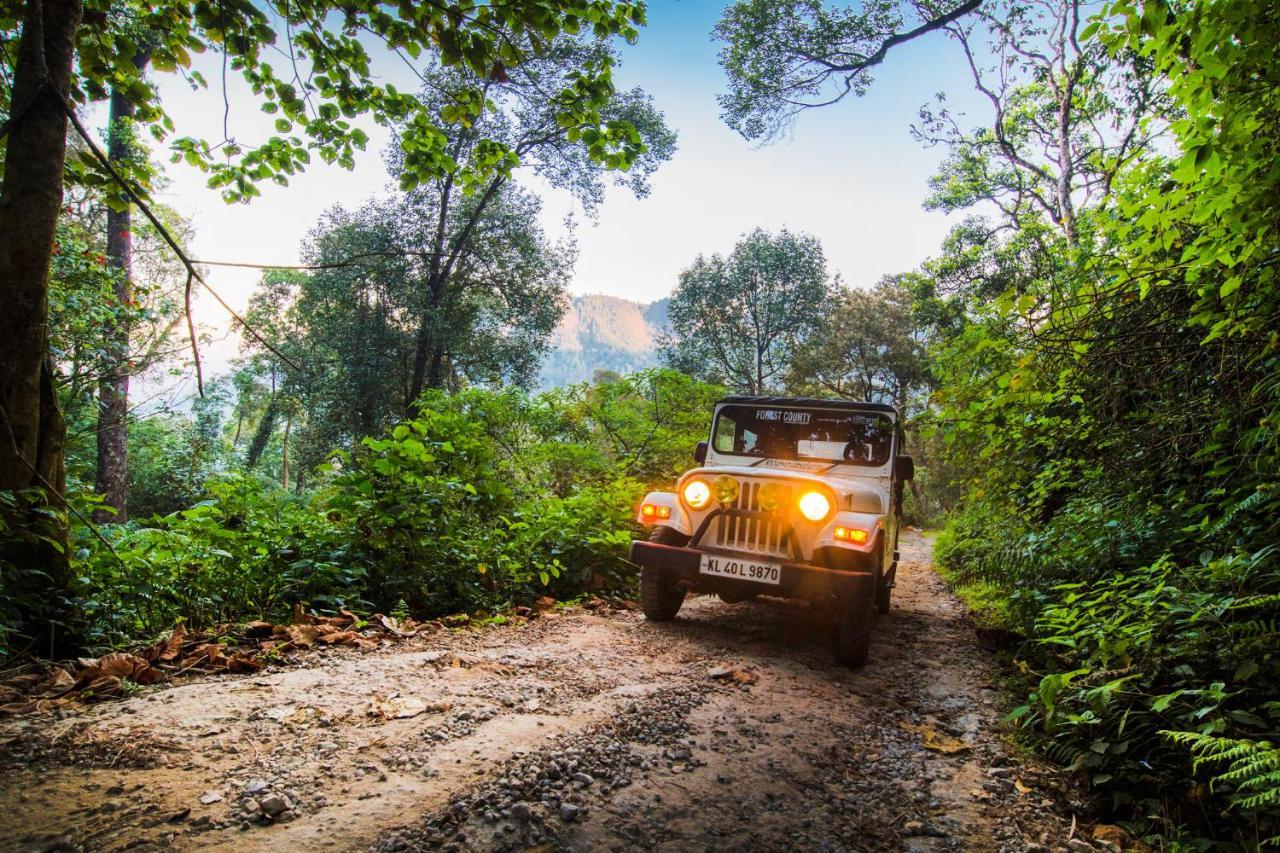 Hotel Forest County Munnar Zewnętrze zdjęcie