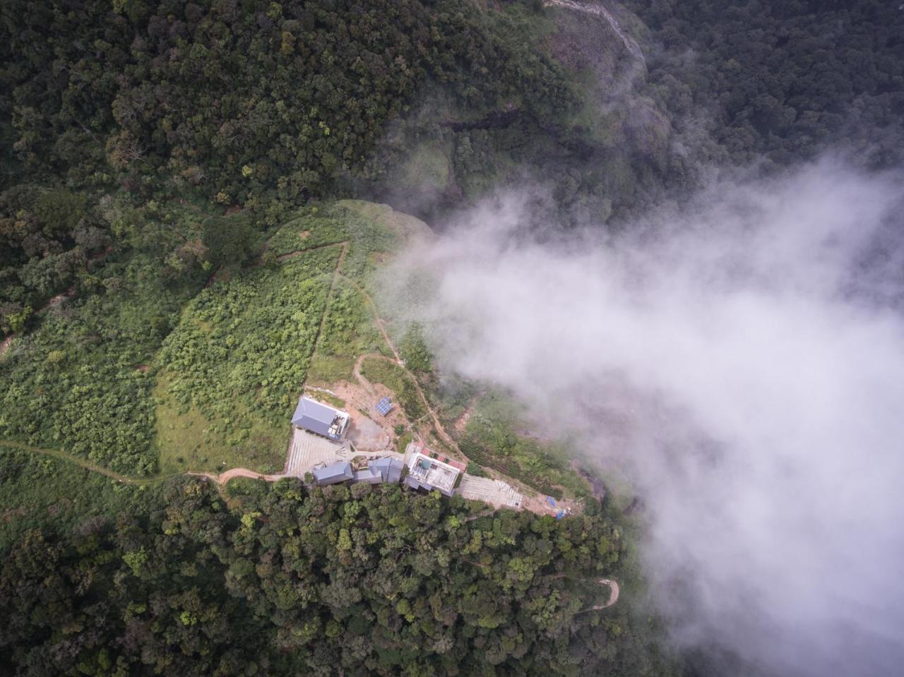 Hotel Forest County Munnar Zewnętrze zdjęcie